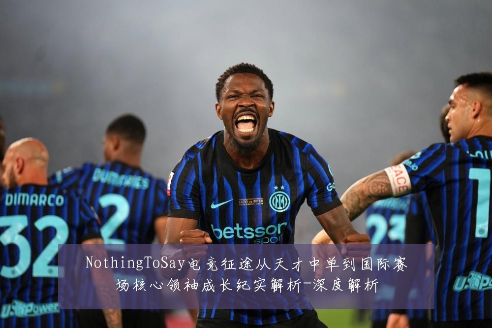NothingToSay电竞征途从天才中单到国际赛场核心领袖成长纪实解析-深度解析