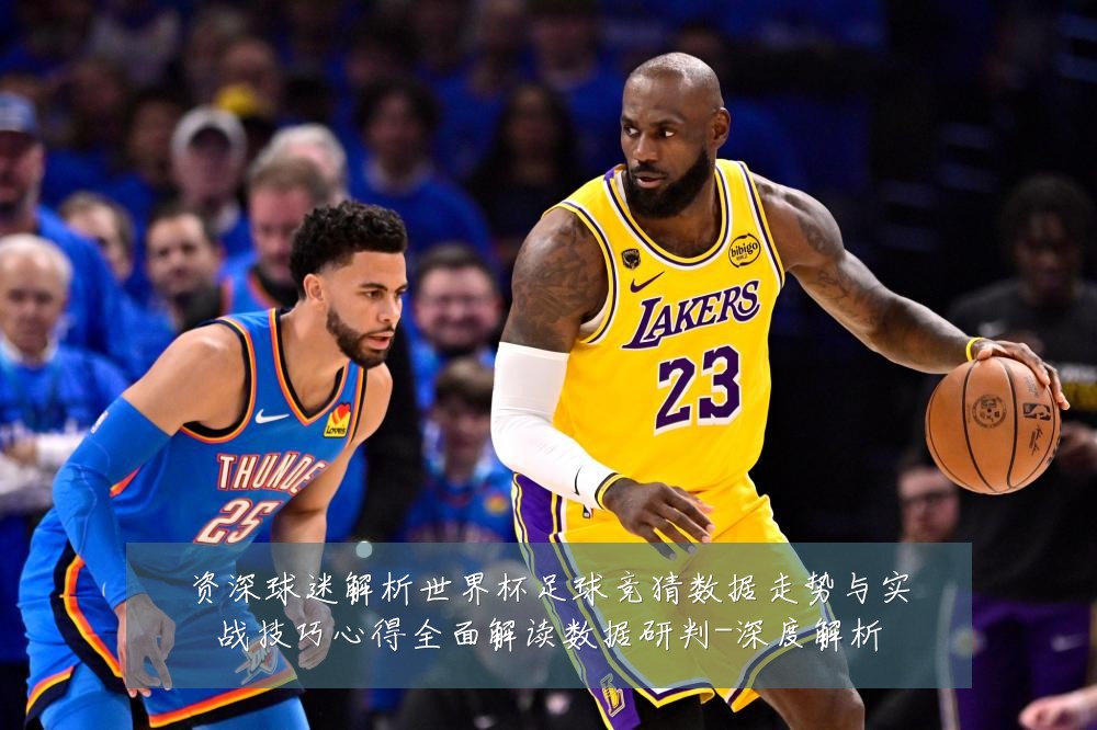 资深球迷解析世界杯足球竞猜数据走势与实战技巧心得全面解读数据研判-深度解析